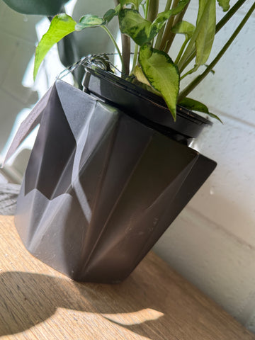 Plant Pot