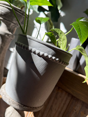 Plant Pot