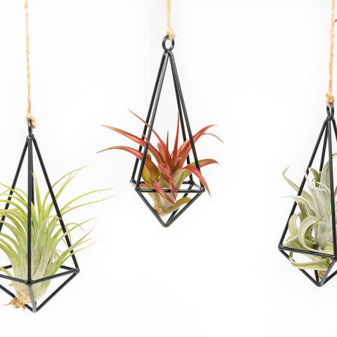 Hanging Metal Pendants